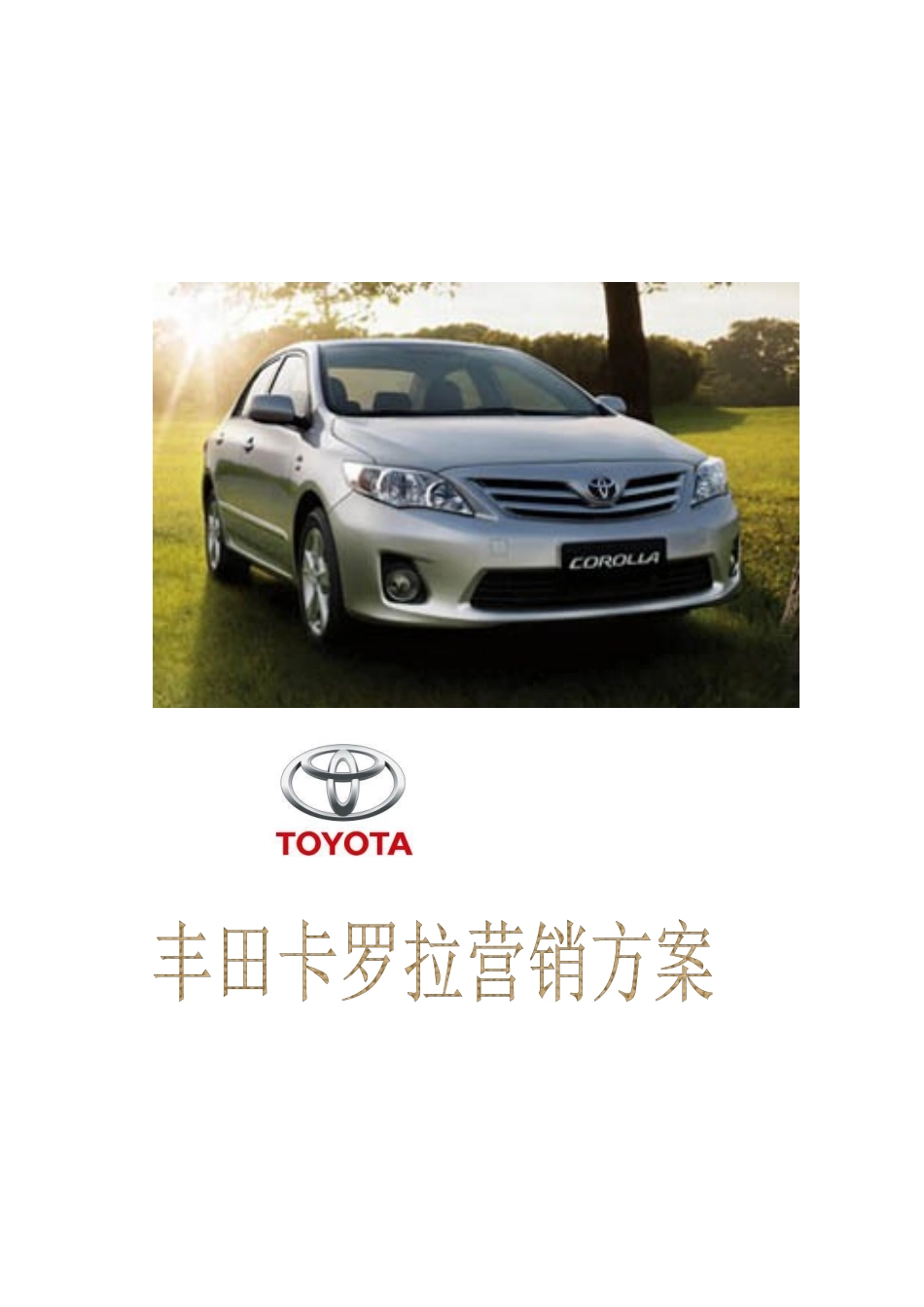 汽车营销策划方案_第1页