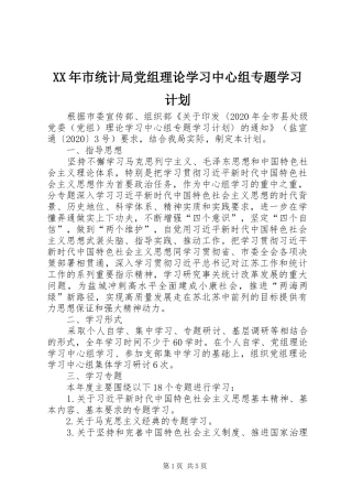 XX年市统计局党组理论学习中心组专题学习计划