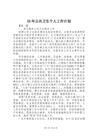 XX年公共卫生个人工作计划