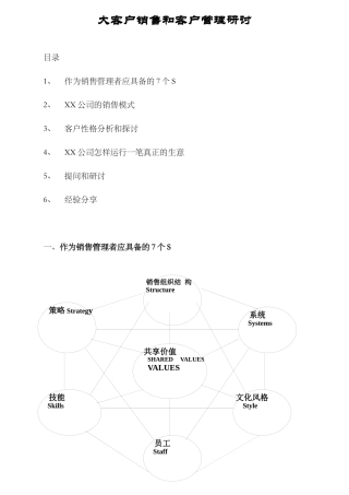 某某公司销售策略模式