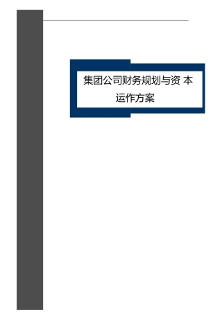 集团公司财务规划与资本运作方案(全套)