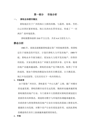 金海湾营销策划报告