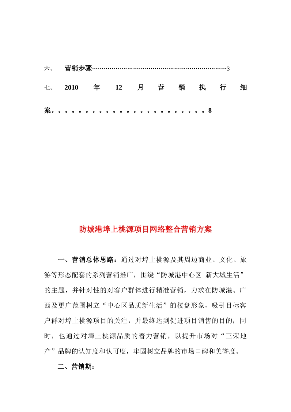 某项目网络整合营销方案_第2页