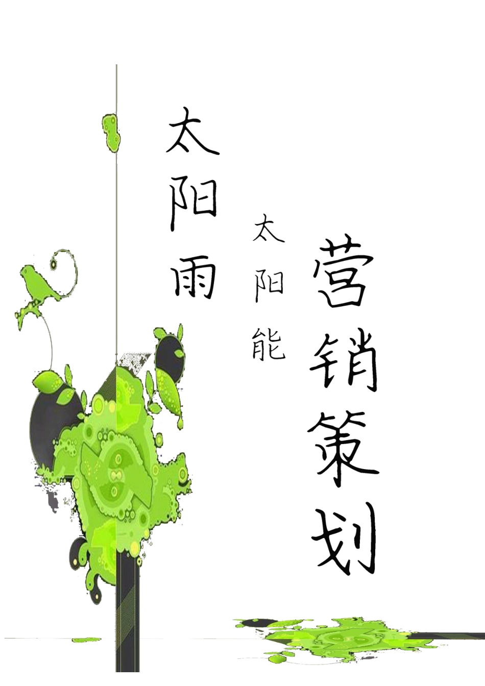 目录：1．市场调研对象：太阳雨竞争者：皇明四季沐歌桑_第1页