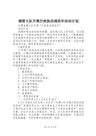 城管大队开展行政执法规范年活动计划