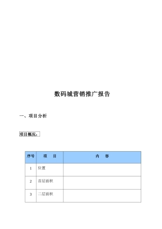 某数码城项目营销推广报告