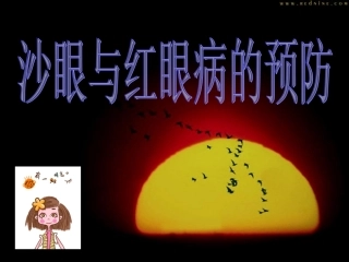 沙眼与红眼病的预防