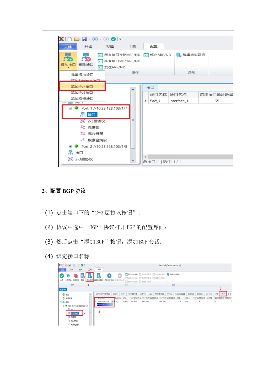 InternetCustom路由配置——网络测试仪实操_第3页