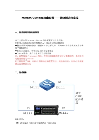 InternetCustom路由配置——网络测试仪实操