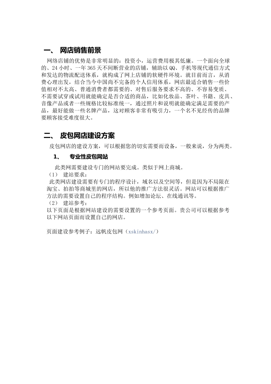 皮包网店销售方案_第2页