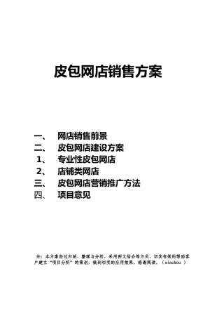 皮包网店销售方案