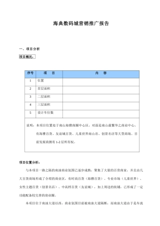 海典数码城营销推广报告
