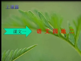 语文园地二上课篇课件
