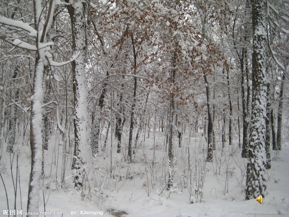 雪地里的小画家课件_第2页
