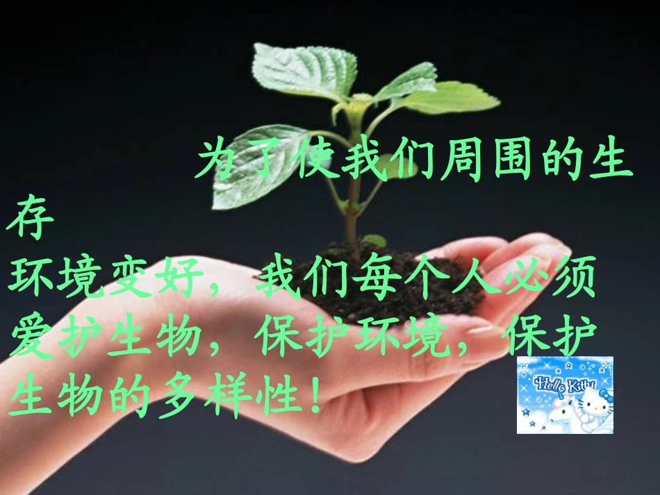 生态系统的概念和类型_第1页