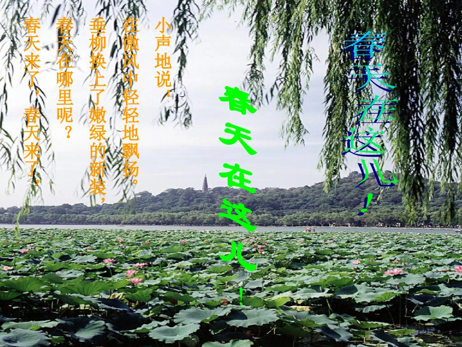 大班语言：春天来了_第3页