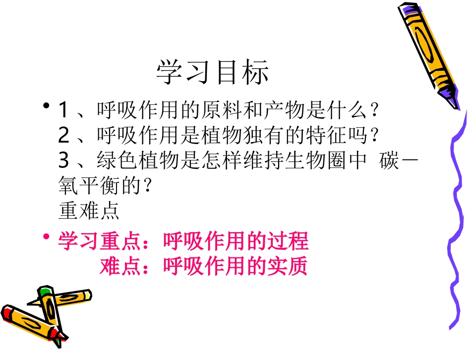 绿色植物的呼吸作用_第2页