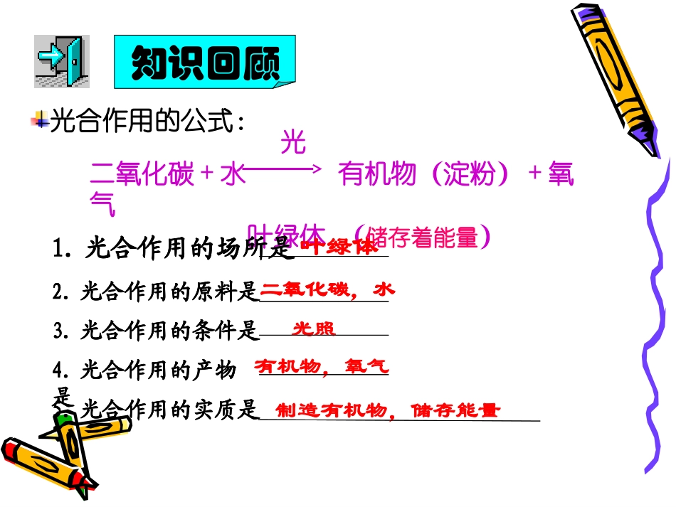 绿色植物的呼吸作用_第3页