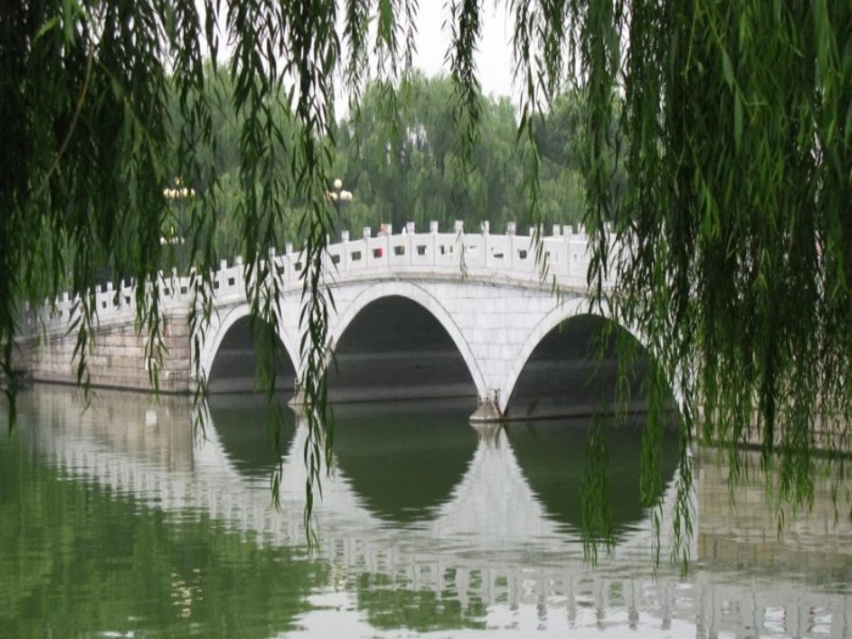 《蓝色的树叶》课件_第1页