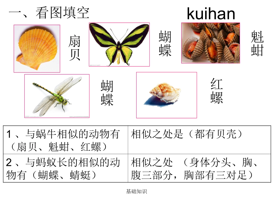 二单元自由研究_第2页