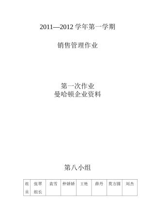 曼哈顿市场营销销售分析