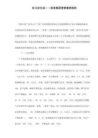 某某灶具集团营销案例剖析