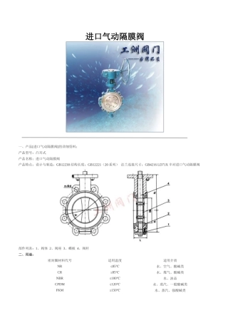 进口气动隔膜阀