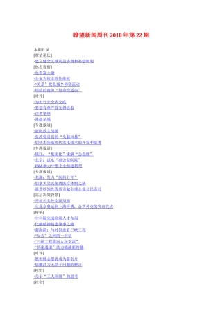 瞭望新闻周刊XXXX年第22期