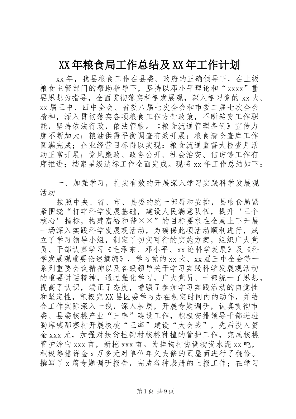 XX年粮食局工作总结及XX年工作计划_第1页
