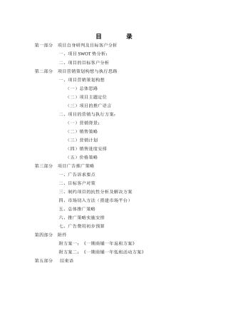 某某县房地产项目营销策划报告