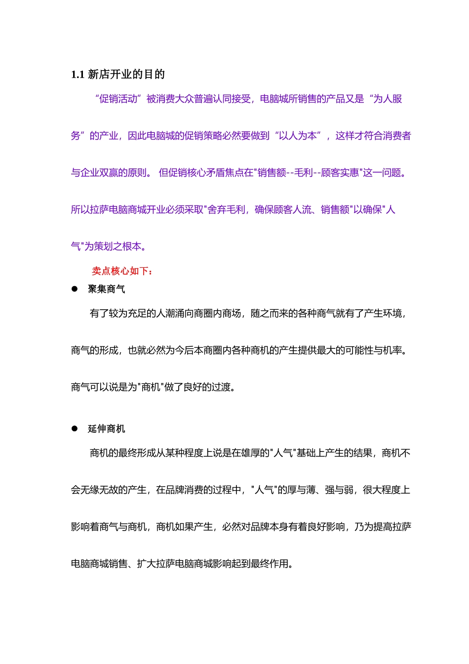 拉萨电脑城开业营销策划方案)_第3页