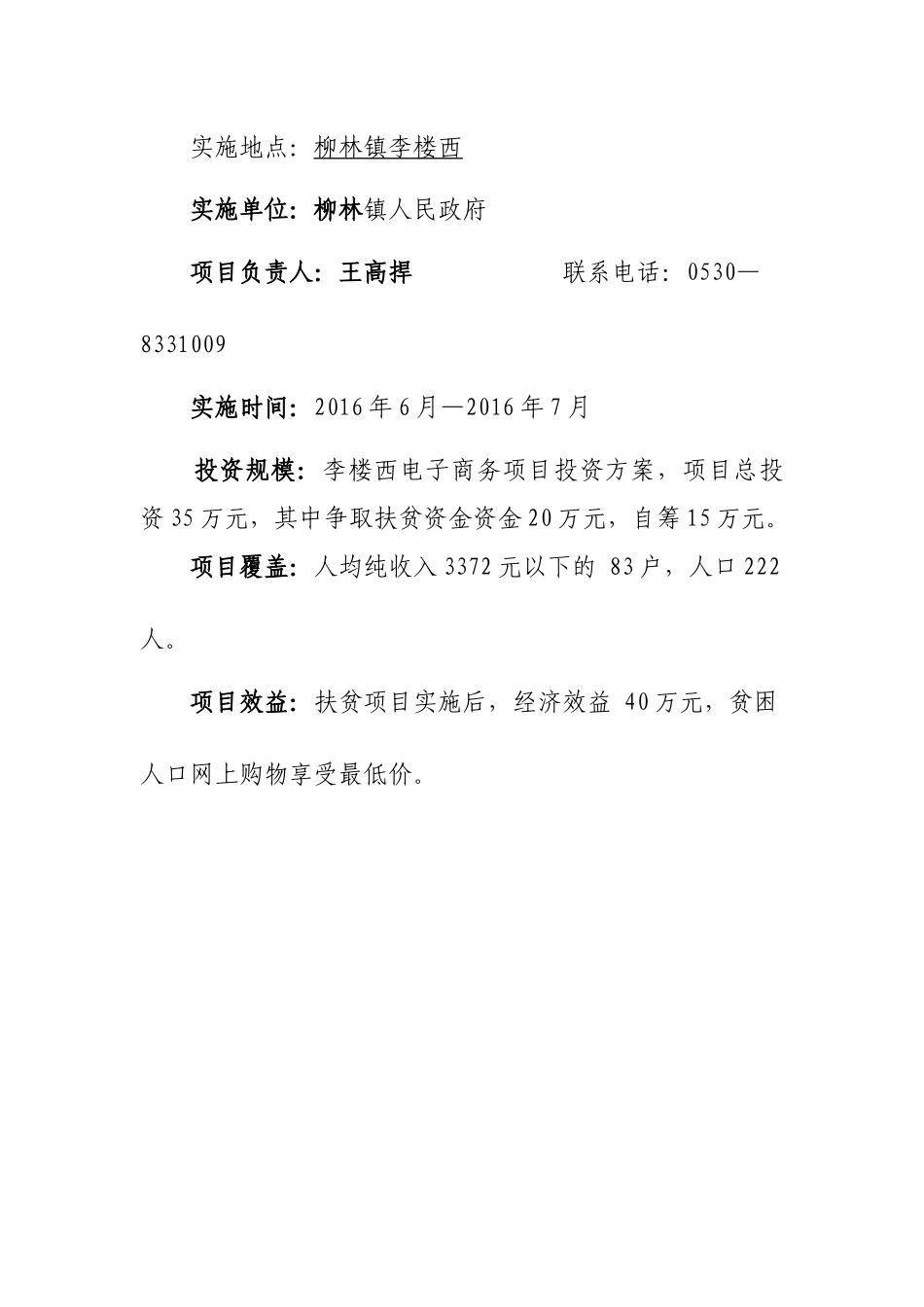 电子商务服务站项目投资方案_第2页