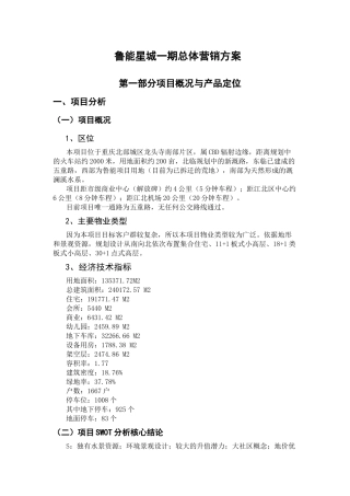 鲁能星城一期总体营销方案