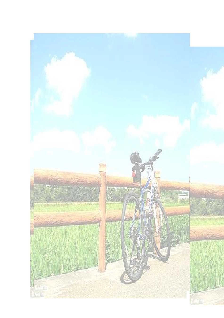 行销研究自行车_第1页