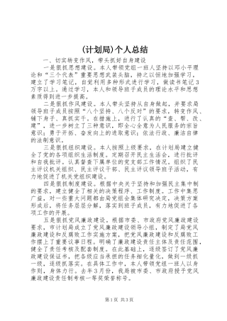 (计划局)个人总结