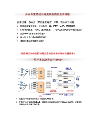 灵活QINQ在城域接入网中的应用方案-用户定位-业务区分