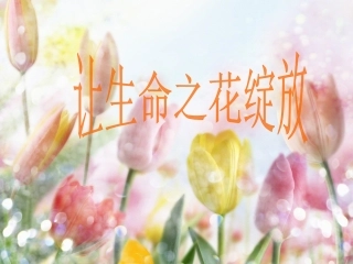 思品第三课第三框让生命之花绽放
