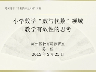 陈娟农村小学数学数与代数有效性思考课件d