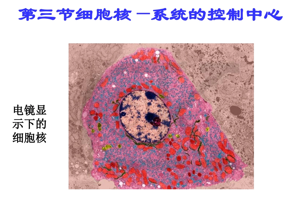 细胞核系统的控制中心_第1页
