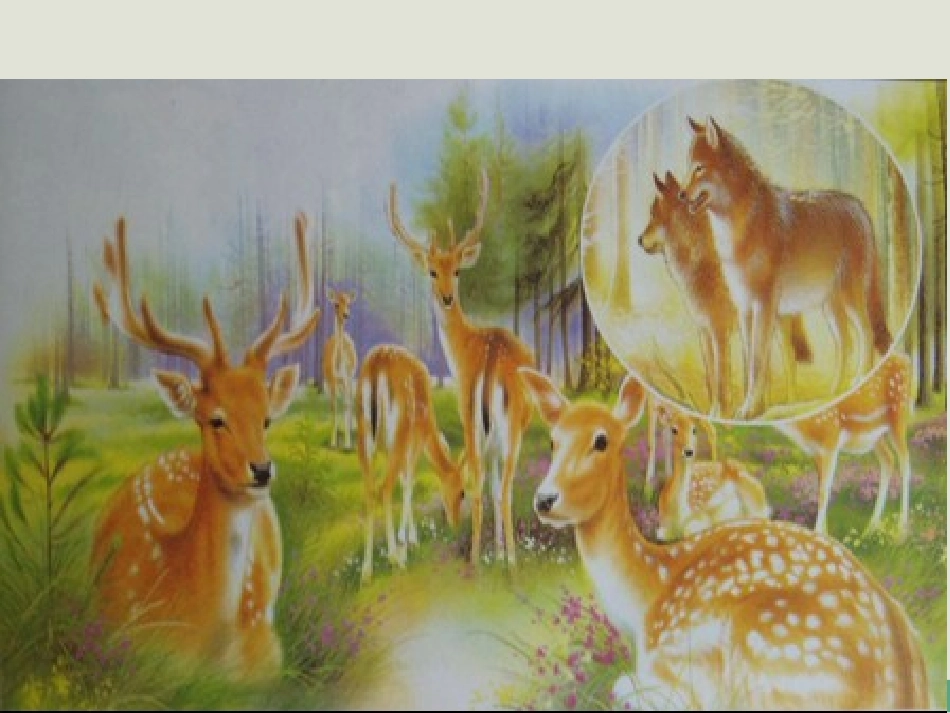 苏教版三年级下册《狼与鹿》_第2页