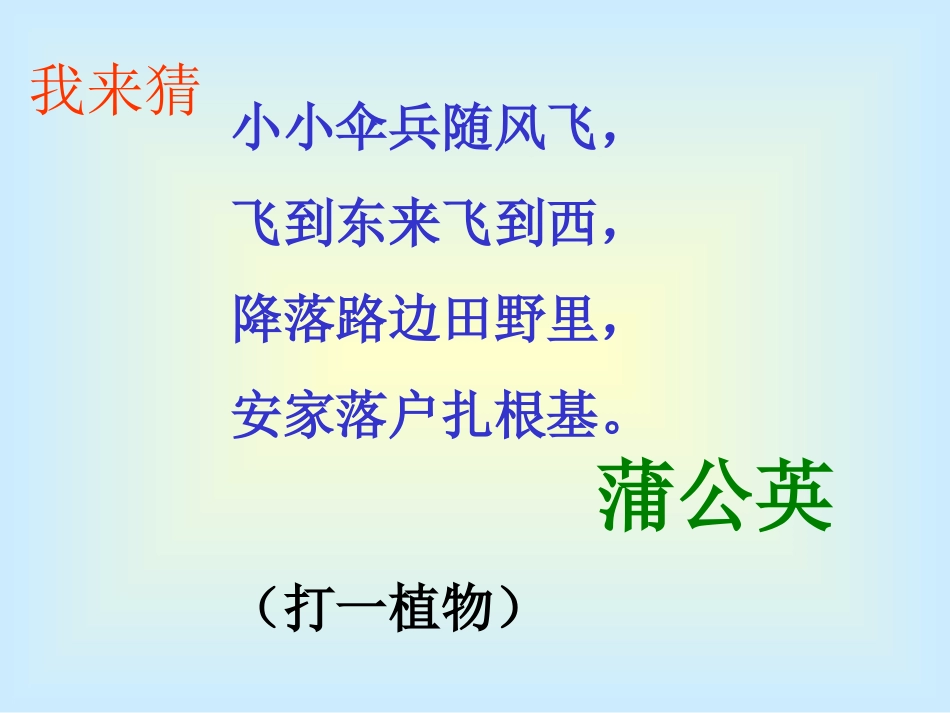 小松树和大松树（_第2页