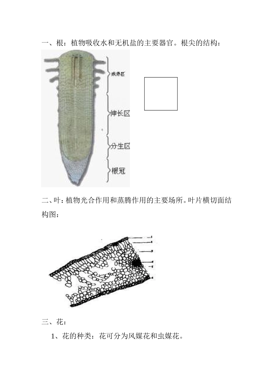 生物迎考总复习资料_第3页