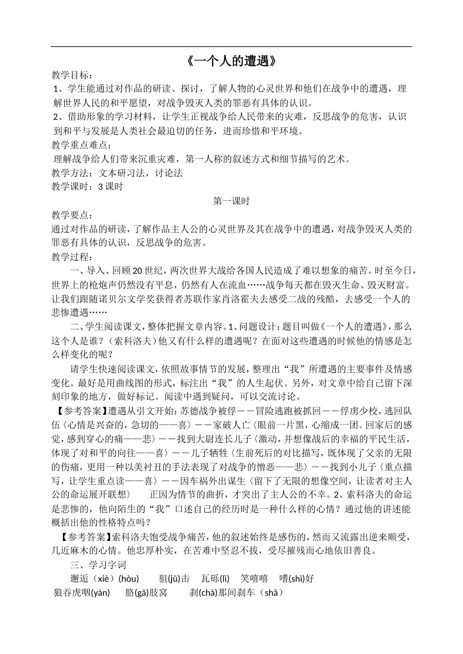 一个人的遭遇教案_第1页