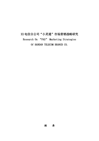 某电信公司小灵通市场营销战略研究报告