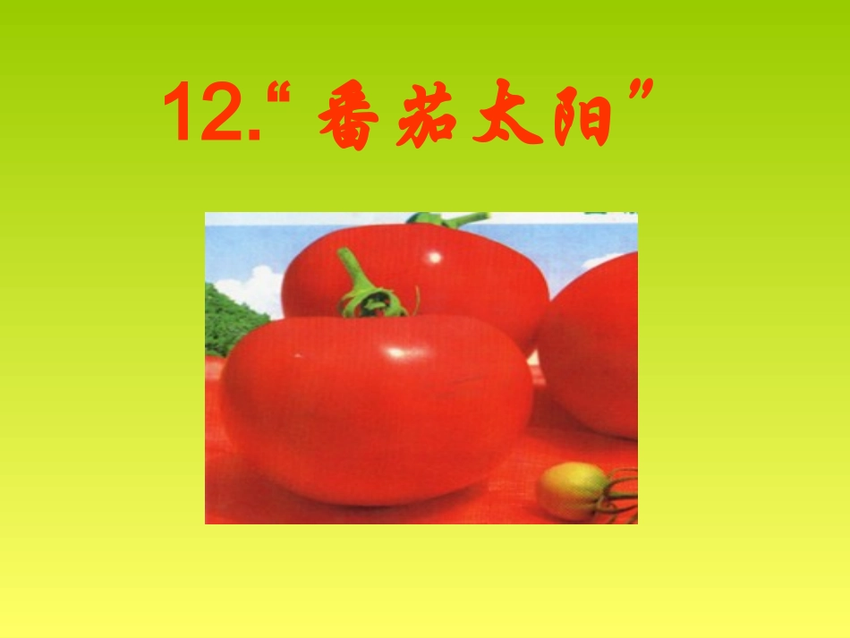 （中小学精品）《番茄太阳》课件_第1页