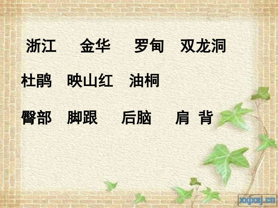 记金华的双龙洞(邓）_第3页