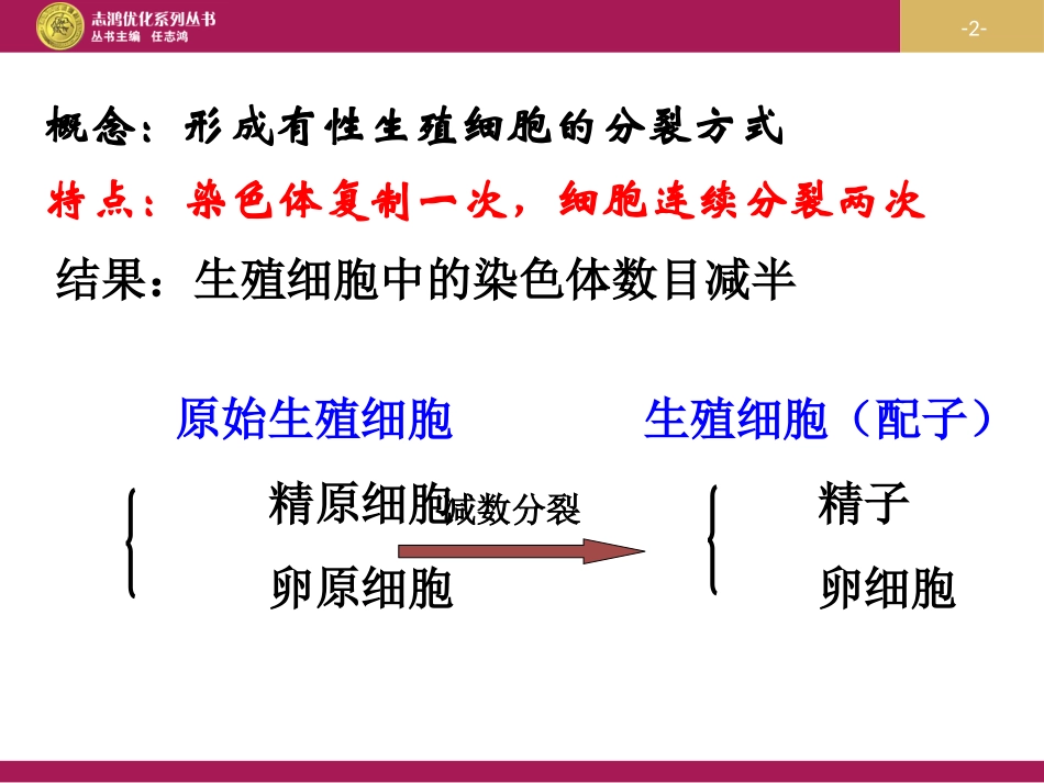 减数分裂设计一_第2页