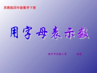 扬中市实验小学杨霞
