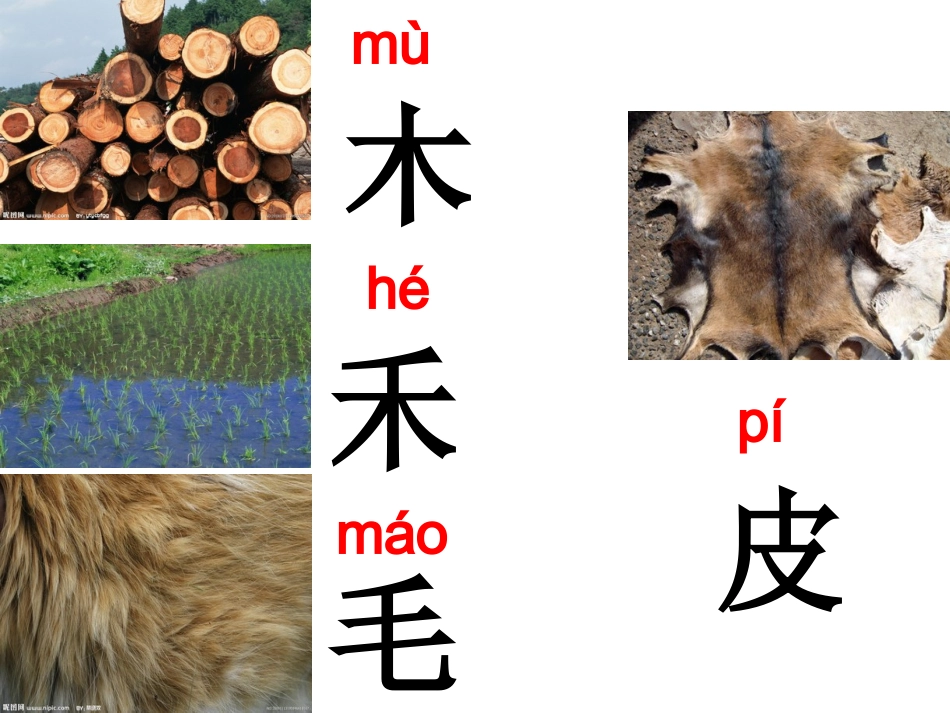 语文A版一年级上册《识字二》_第3页