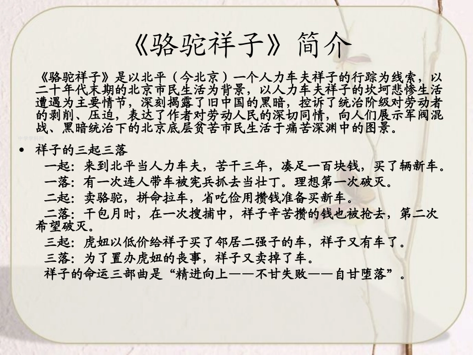 《骆驼祥子》课件_第3页